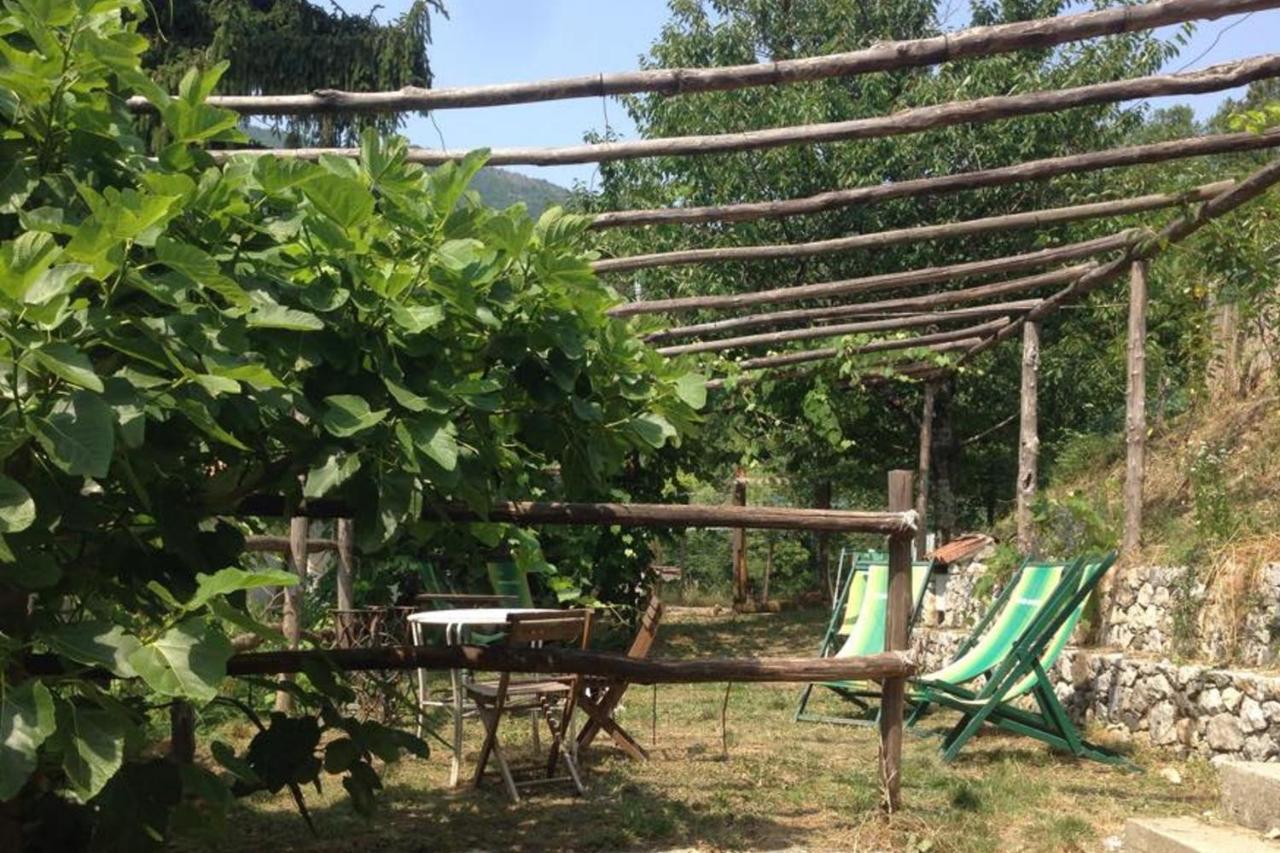 Agriturismo Di Charme E Ristorante Stallato Il Filo Di Paglia 카로 외부 사진