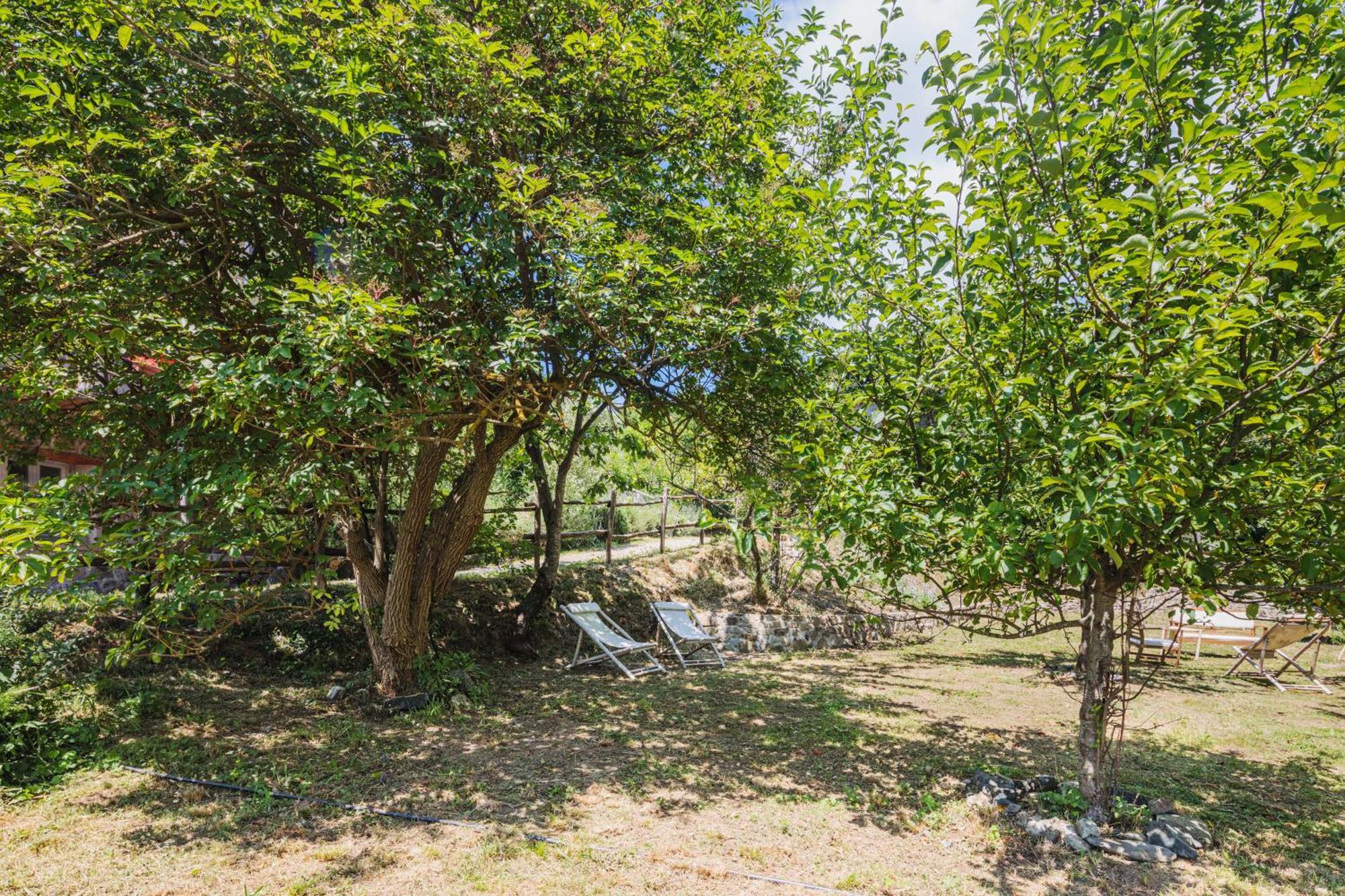 Agriturismo Di Charme E Ristorante Stallato Il Filo Di Paglia 카로 외부 사진